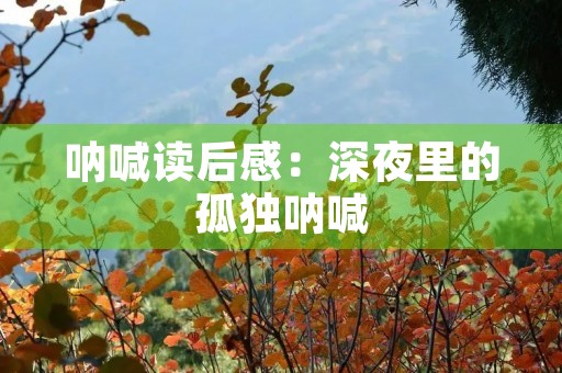 呐喊读后感：深夜里的孤独呐喊
