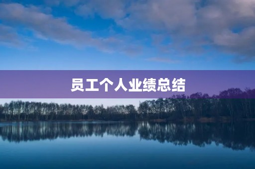 员工个人业绩总结 员工个人业绩总结