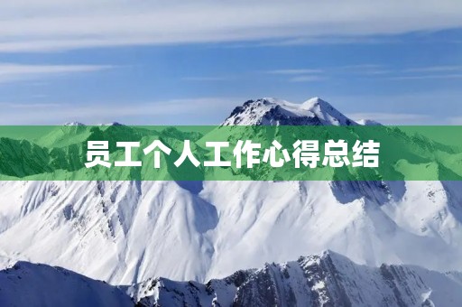 员工个人工作心得总结