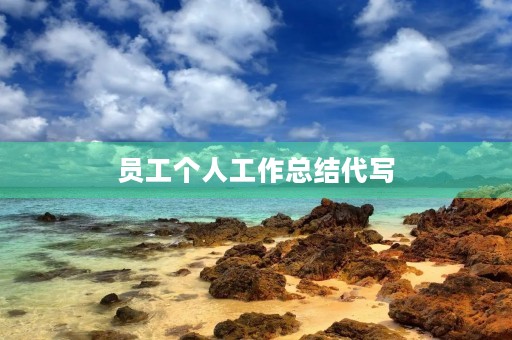员工个人工作总结代写