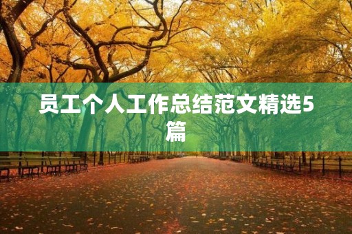 员工个人工作总结范文精选5篇