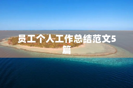 员工个人工作总结范文5篇