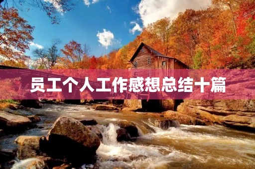 员工个人工作感想总结十篇
