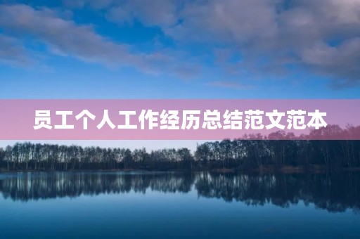 员工个人工作经历总结范文范本