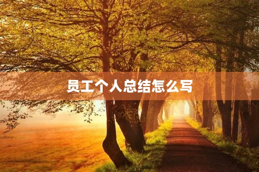 员工个人总结怎么写
