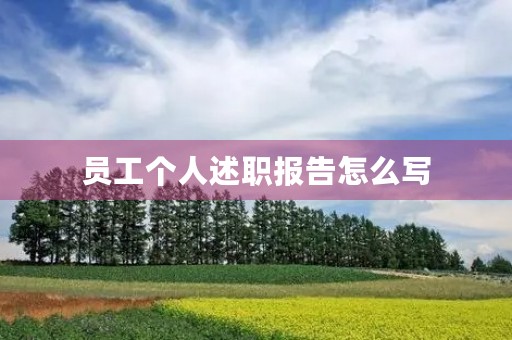 员工个人述职报告怎么写