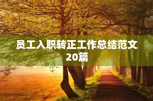 员工入职转正工作总结范文20篇