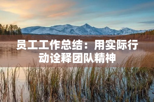 员工工作总结:用实际行动诠释团队精神