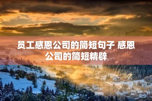 员工感恩公司的简短句子 感恩公司的简短精辟 员工感恩公司的简短句子 感恩公司的简短精辟