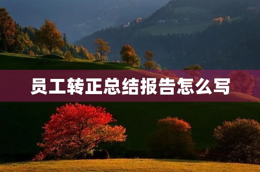 员工转正总结报告怎么写