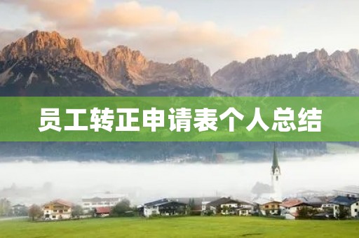 员工转正申请表个人总结