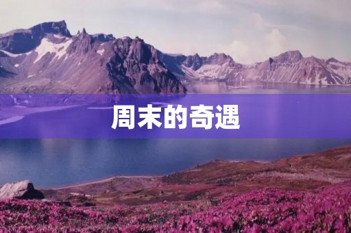 周末的奇遇