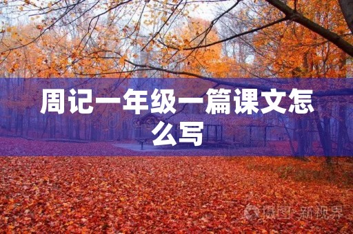 周记一年级一篇课文怎么写 周记一年级一篇课文怎么写