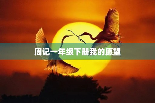 周记一年级下册我的愿望