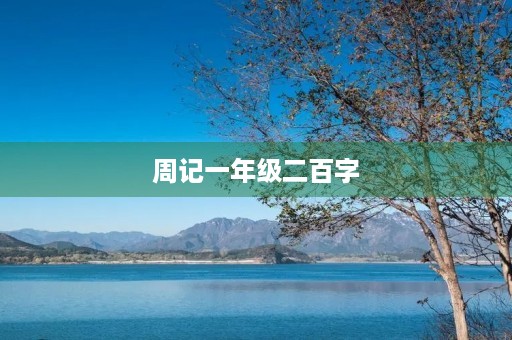 周记一年级二百字