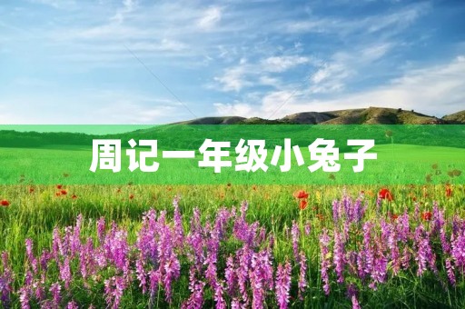 周记一年级小兔子 周记一年级小兔子