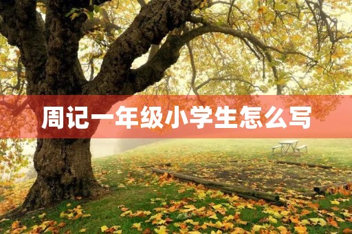 周记一年级小学生怎么写
