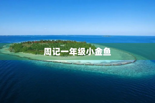 周记一年级小金鱼 周记一年级小金鱼