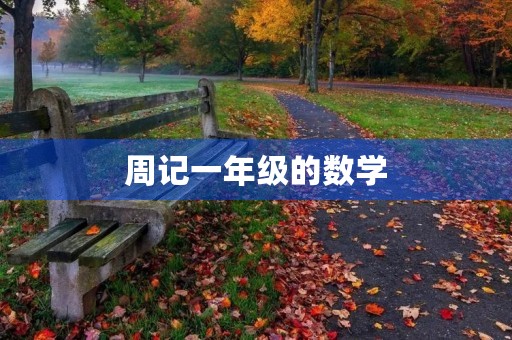 周记一年级的数学