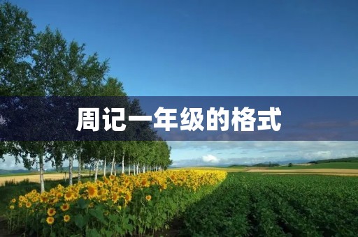 周记一年级的格式 周记一年级的格式