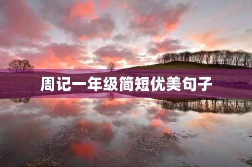 周记一年级简短优美句子 周记一年级简短优美句子