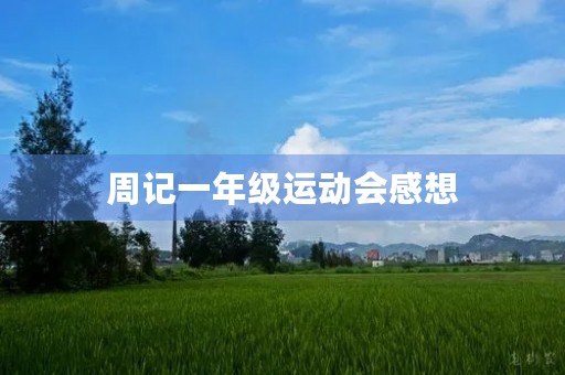 周记一年级运动会感想