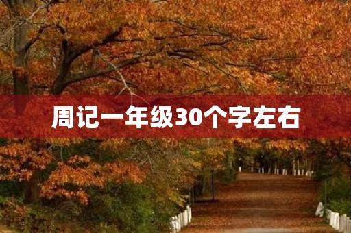 周记一年级30个字左右