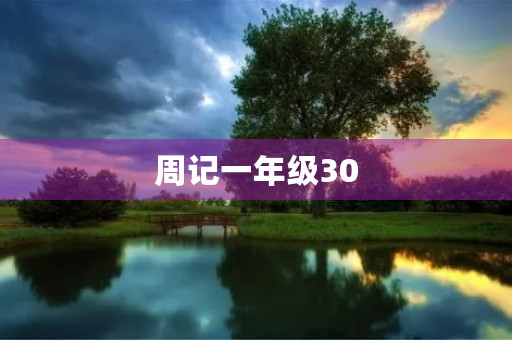 周记一年级30