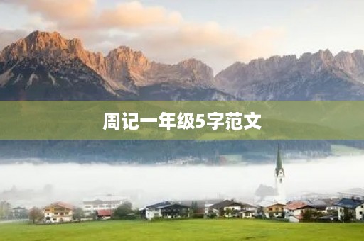 周记一年级5字范文