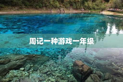 周记一种游戏一年级 周记一种游戏一年级