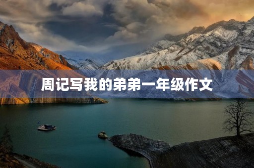 周记写我的弟弟一年级作文