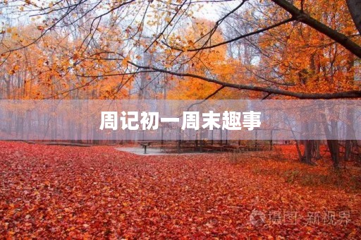 周记初一周末趣事 周记初一周末趣事