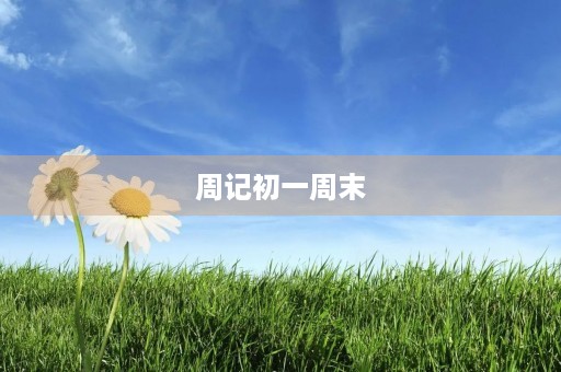 周记初一周末 周记初一周末