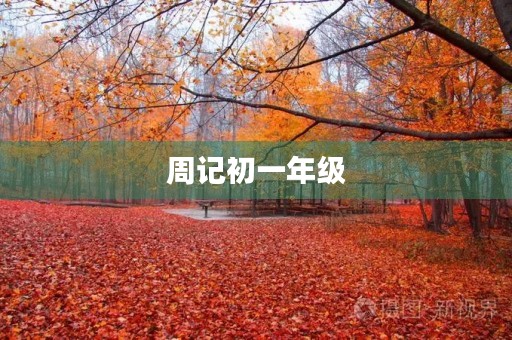 周记初一年级 周记初一年级