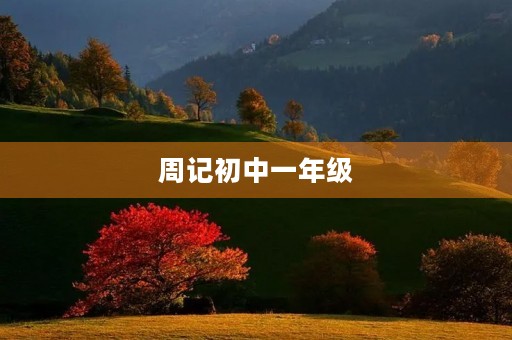 周记初中一年级 周记初中一年级