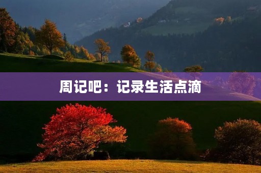 周记吧:记录生活点滴 周记吧:记录生活点滴