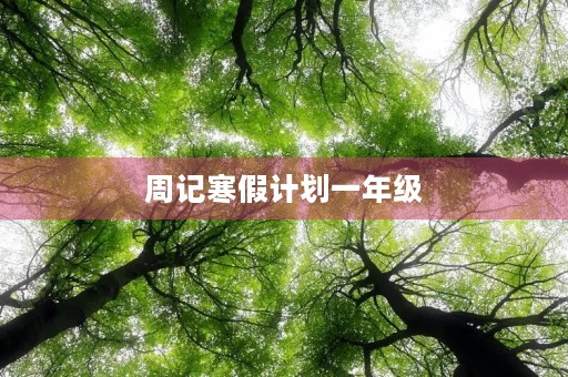 周记寒假计划一年级 周记寒假计划一年级