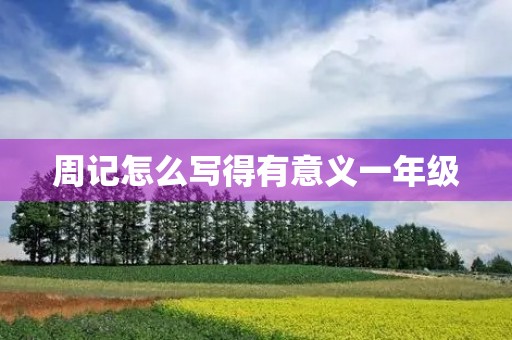 周记怎么写得有意义一年级