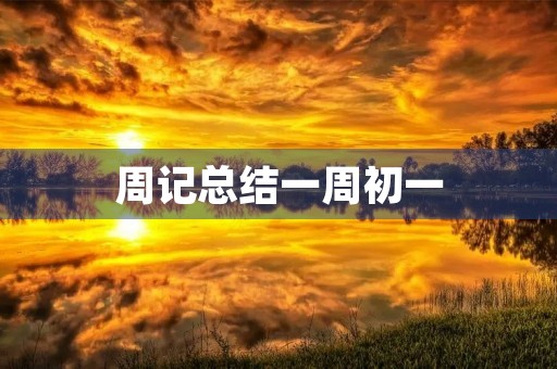 周记总结一周初一