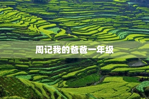 周记我的爸爸一年级