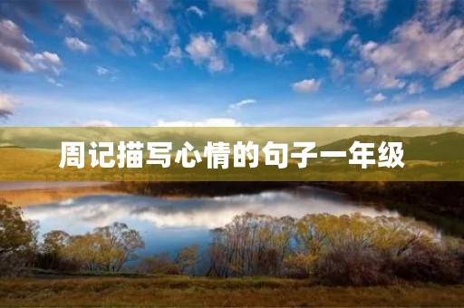 周记描写心情的句子一年级