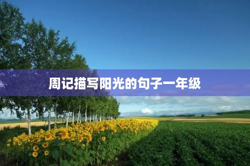 周记描写阳光的句子一年级 周记描写阳光的句子一年级