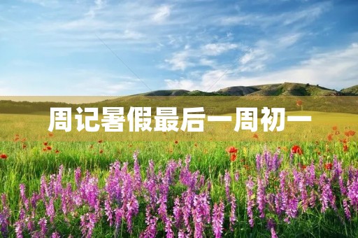 周记暑假最后一周初一