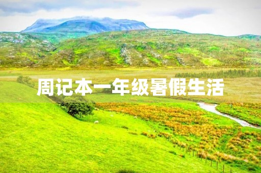 周记本一年级暑假生活