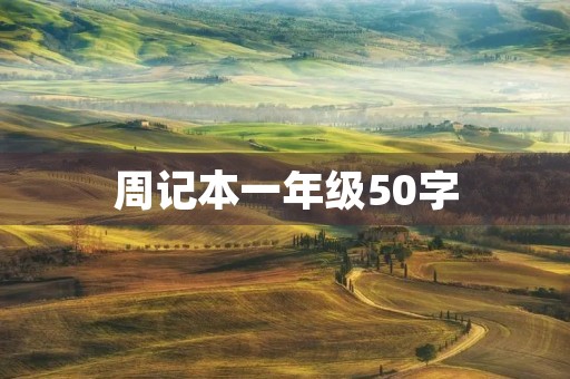 周记本一年级50字