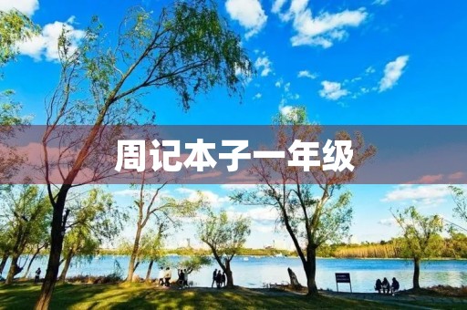 周记本子一年级 周记本子一年级