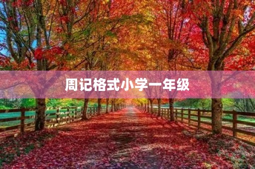 周记格式小学一年级