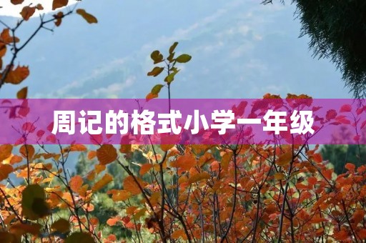 周记的格式小学一年级 周记的格式小学一年级