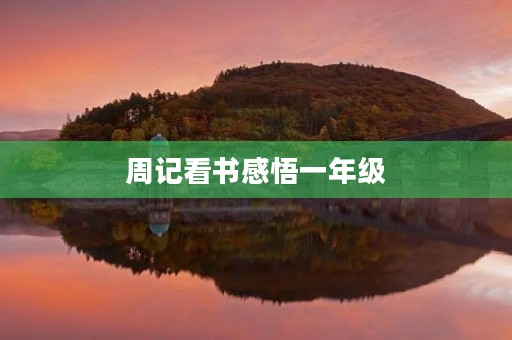 周记看书感悟一年级