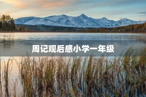 周记观后感小学一年级 周记观后感小学一年级